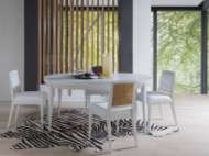 Picture of OSIRIS DINING SIDE CHAIR