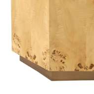 Picture of OCTAVIA SIDE TABLE, BURL