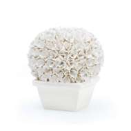 Picture of BOSTON ROUND BOXWOOD TOPIARY, BLANC DE CHINE