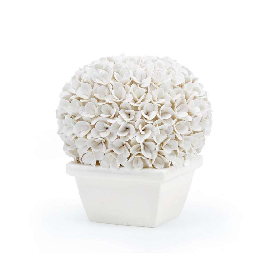 Picture of BOSTON ROUND BOXWOOD TOPIARY, BLANC DE CHINE