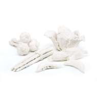 Picture of VEGETABLE GARDEN SET, BLANC DE CHINE