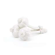 Picture of VEGETABLE GARDEN SET, BLANC DE CHINE