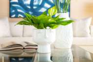 Picture of NICO VASE, COOL WHITE