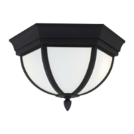 Picture of WYNFIELD TWO LIGHT OUTDOOR FLUSH MOUNT 79136