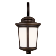 Picture of EDDINGTON MEDIUM ONE LIGHT OUTDOOR WALL LANTERN