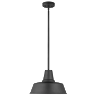 Picture of BARN LIGHT ONE LIGHT OUTDOOR PENDANT