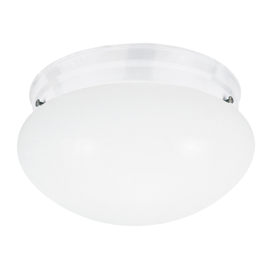 Picture of WEBSTER TWO LIGHT FLUSH MOUNT