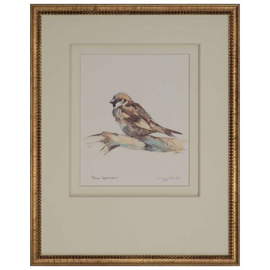 Picture of HOUSE SPARROW