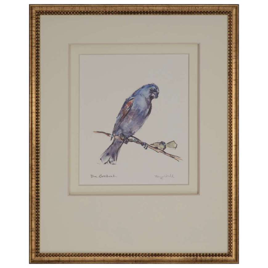 Picture of BLUE GROSBEAK