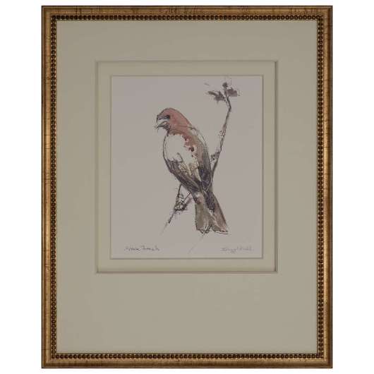 Picture of HOUSE FINCH