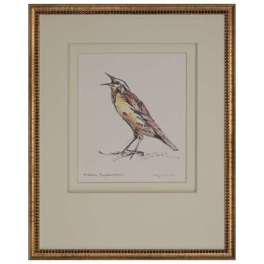 Picture of EASTERN MEADOWLARK