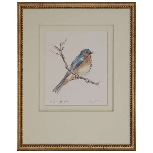 Picture of EASTERN BLUEBIRD