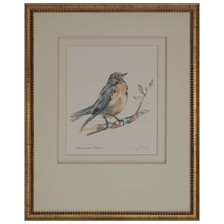 Picture of AMERICAN ROBIN