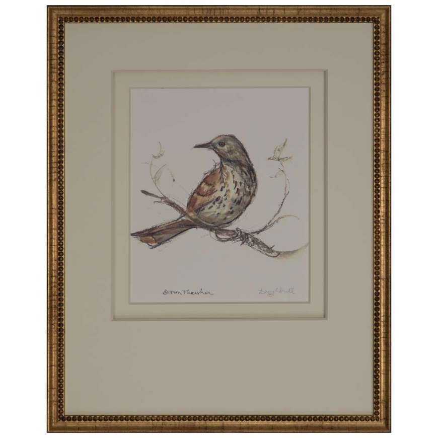 Picture of BROWN THRASHER