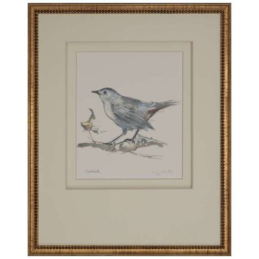 Picture of CATBIRD