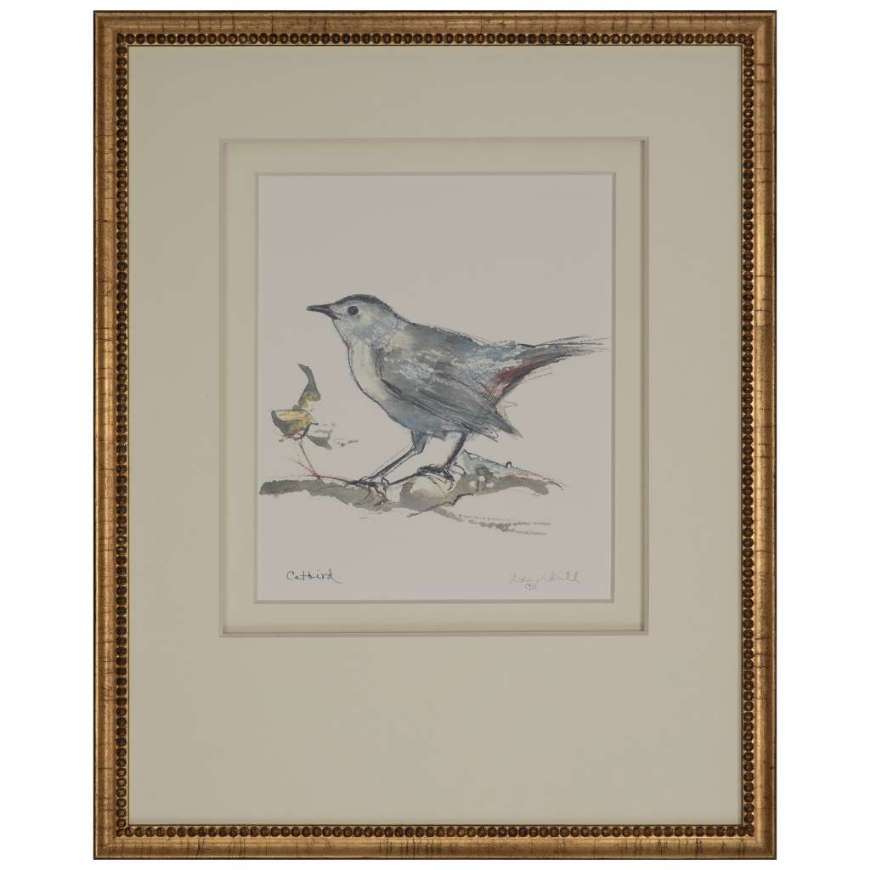 Picture of CATBIRD