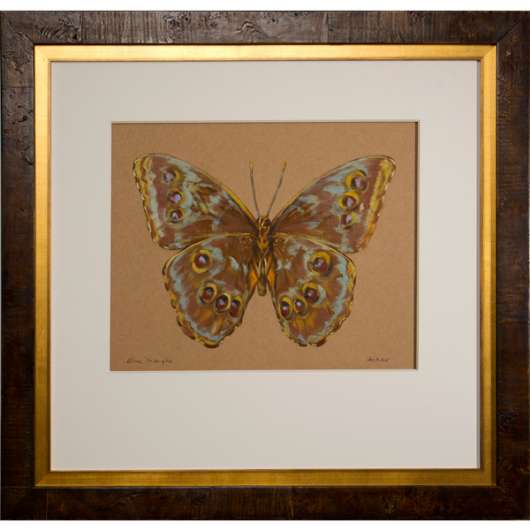 Picture of BLUE MORPHO