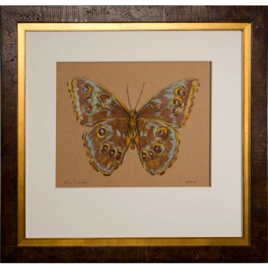 Picture of BLUE MORPHO