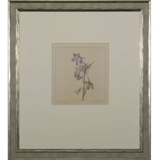 Picture of DELPHINIUM