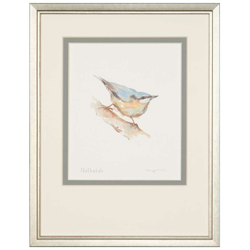 Picture of NUTHATCH