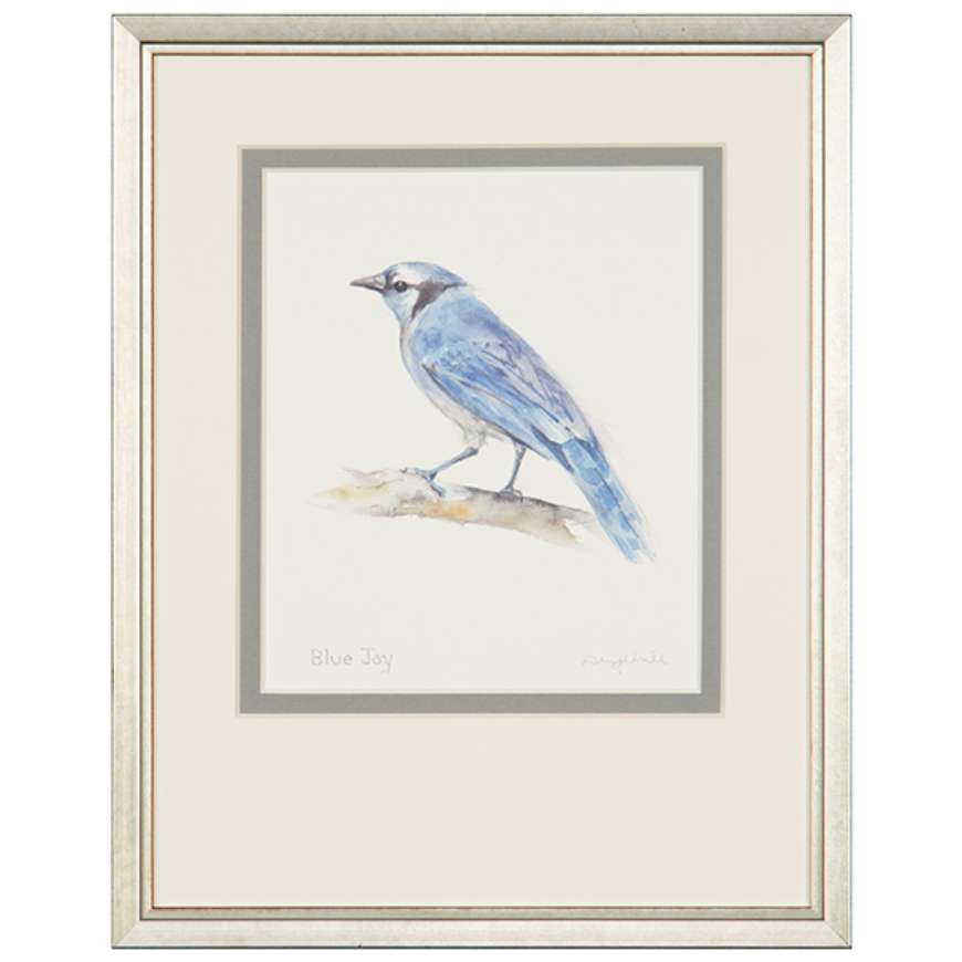 Picture of BLUE JAY