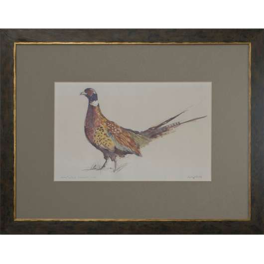 Picture of RINGED NECK PHEASANT MALE