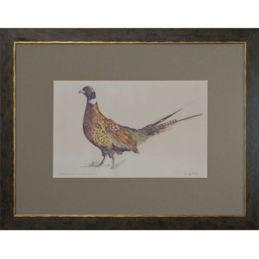 Picture of RINGED NECK PHEASANT MALE