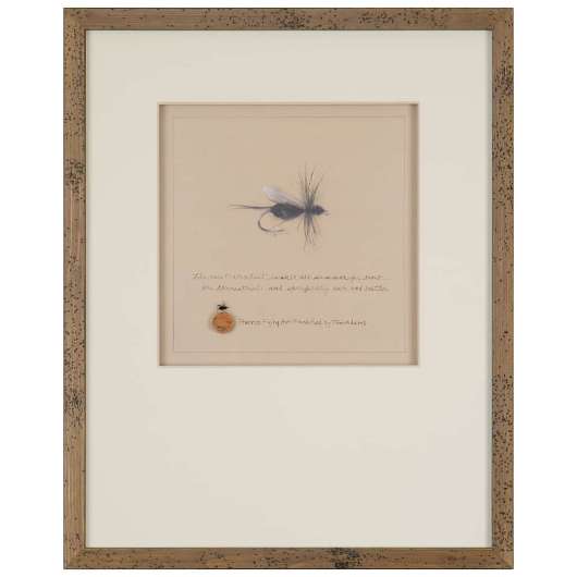 Picture of HARROP FLYING ANT FLY